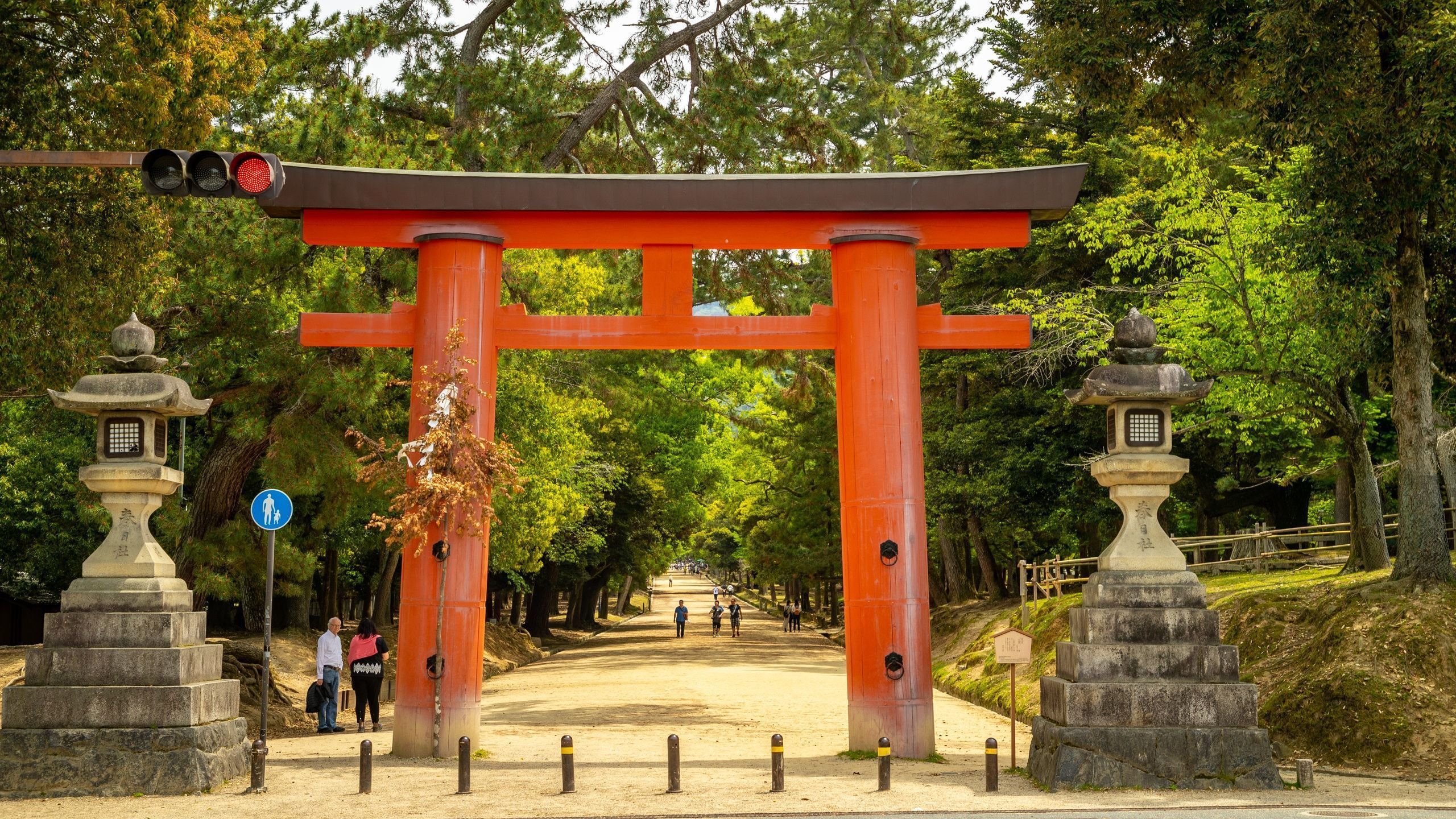 2560x1440 Nara Park Tours