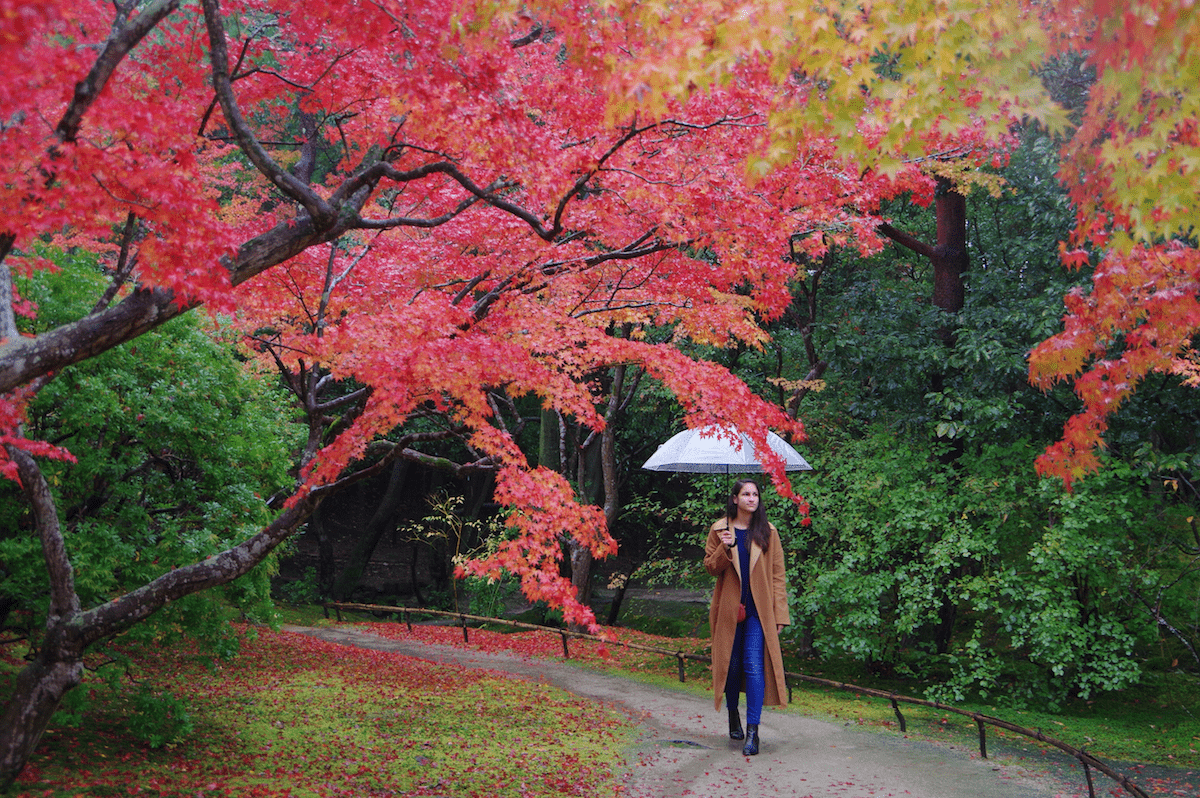 1200x798 Photo Diary: A Rainy Day in Nara. Living Life Crazy