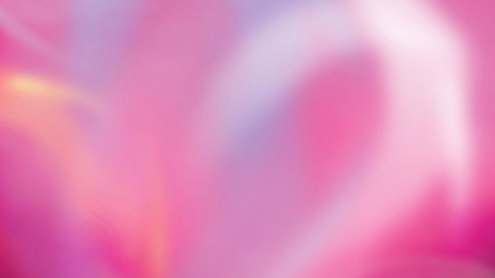 1600x900 Pink Shades Pink Background HD Pink Background Wallpaper