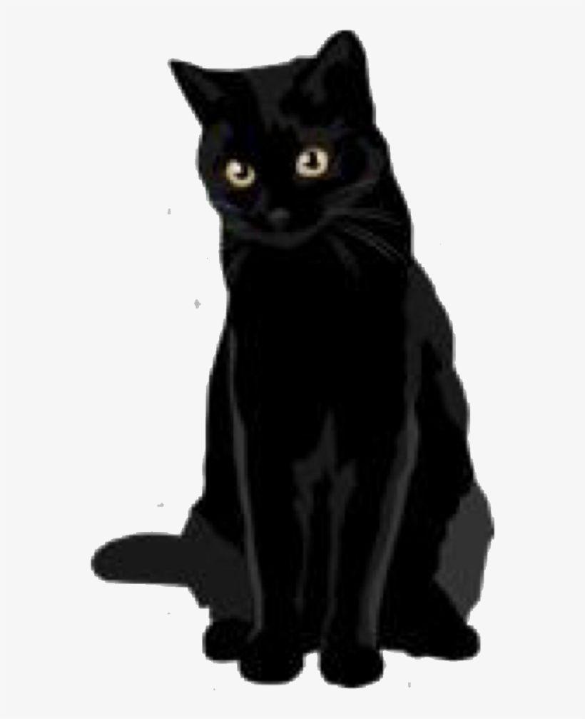 Aesthetic Black Cat Wallpapers - Top Free Aesthetic Black Cat