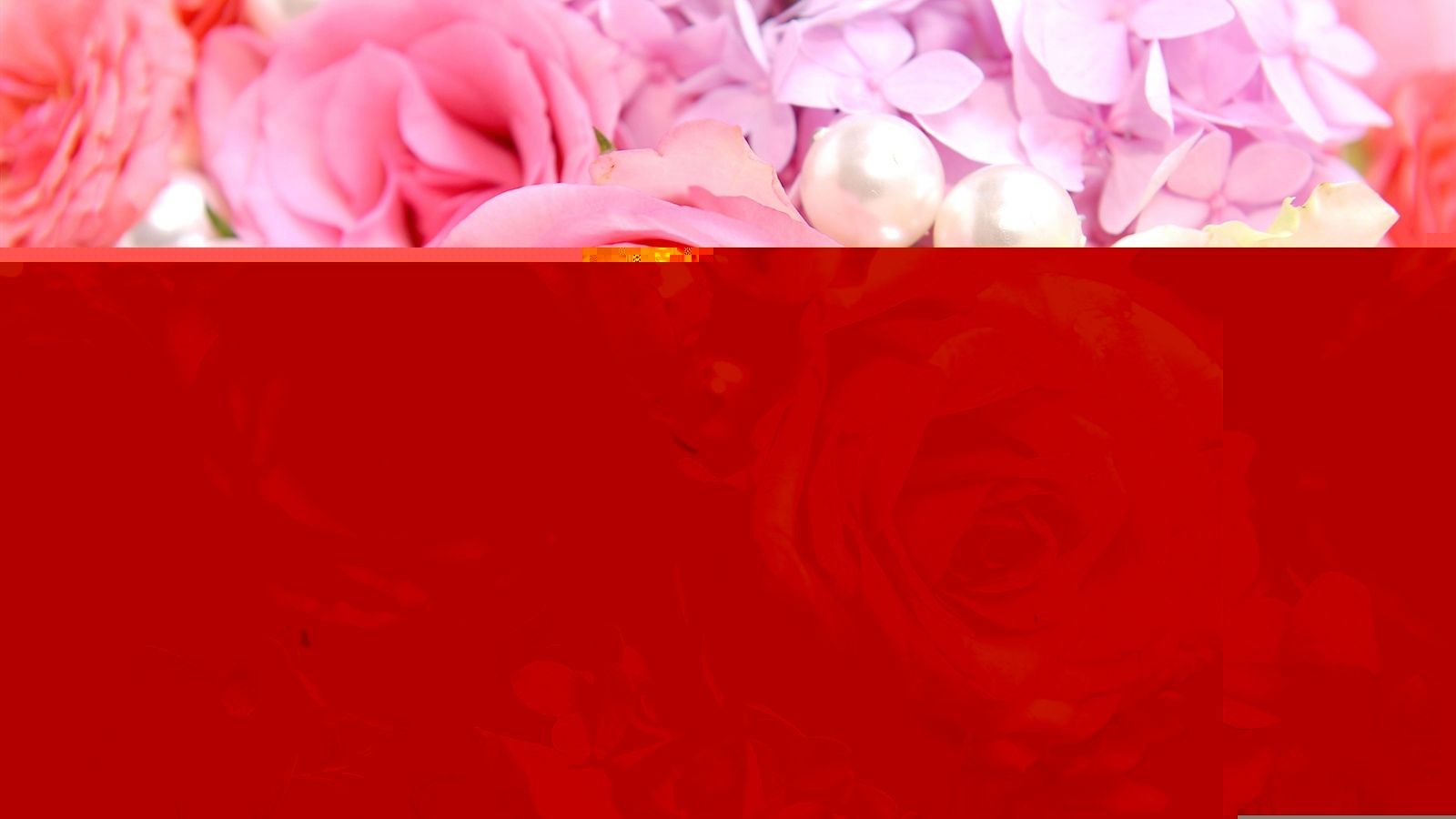 1600x900 Wallpaper Pink roses background 2560x1600 Picture, Image