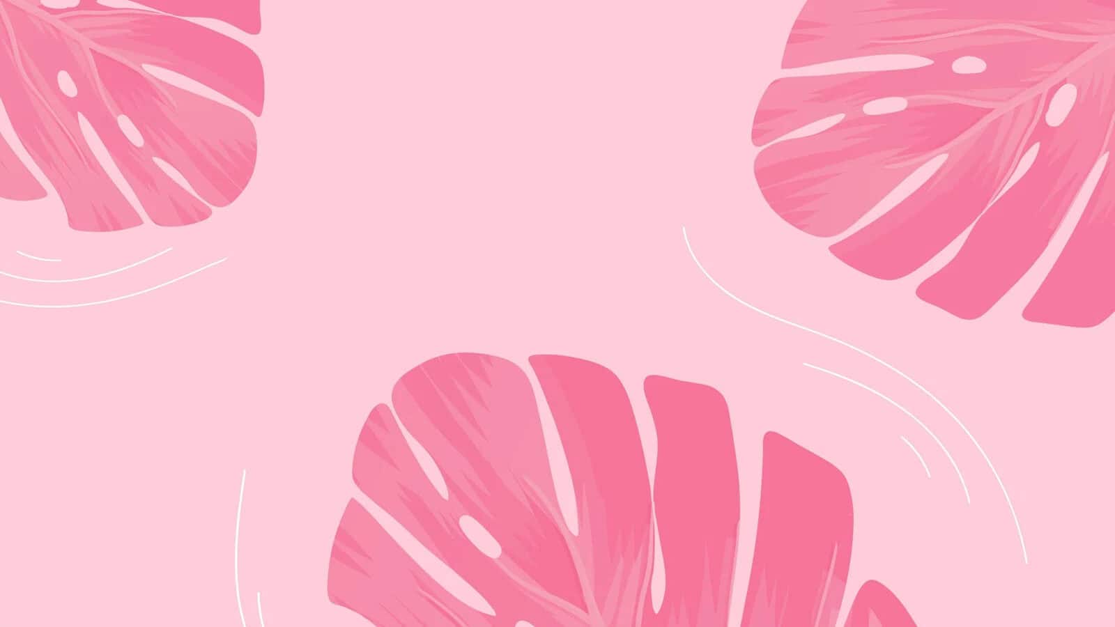 1600x900 Pink Desktop Background