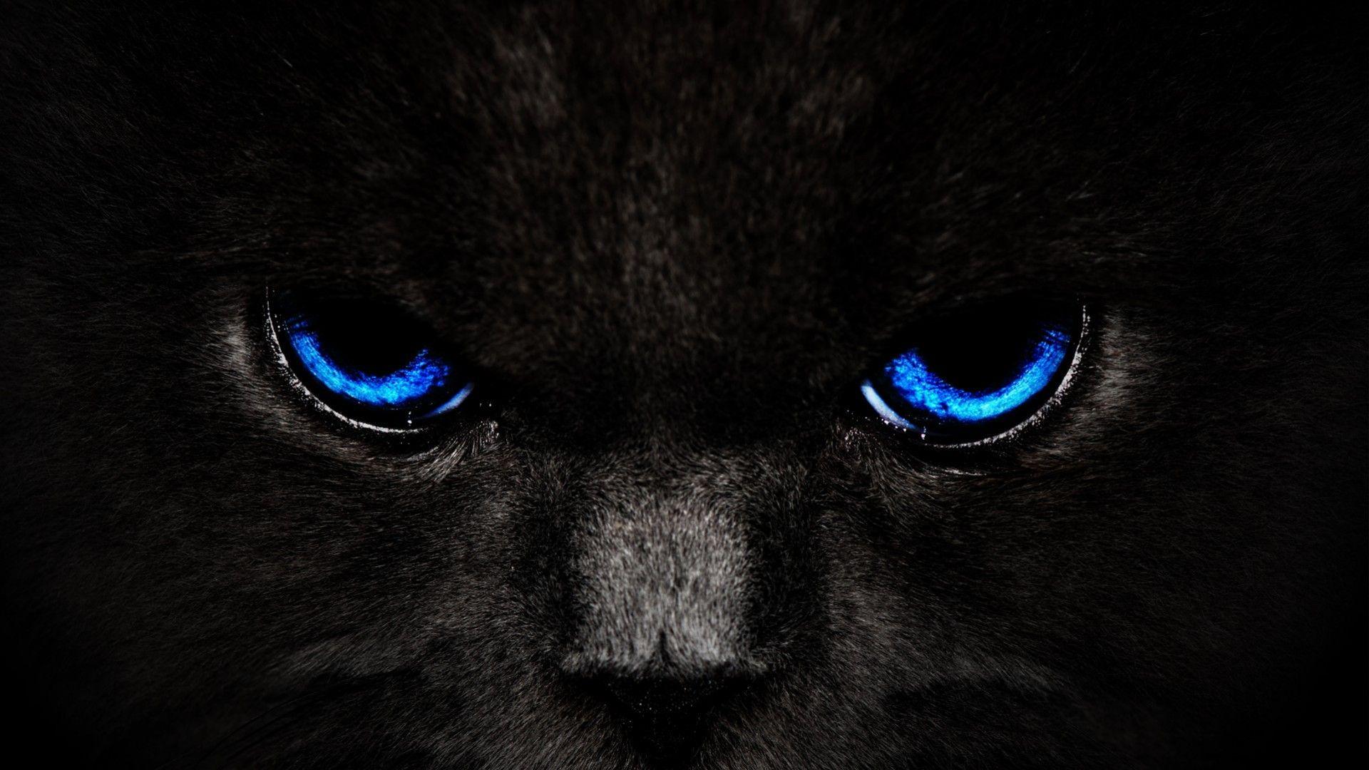 1920x1080 Black Panther Blue Eyes Wallpaper