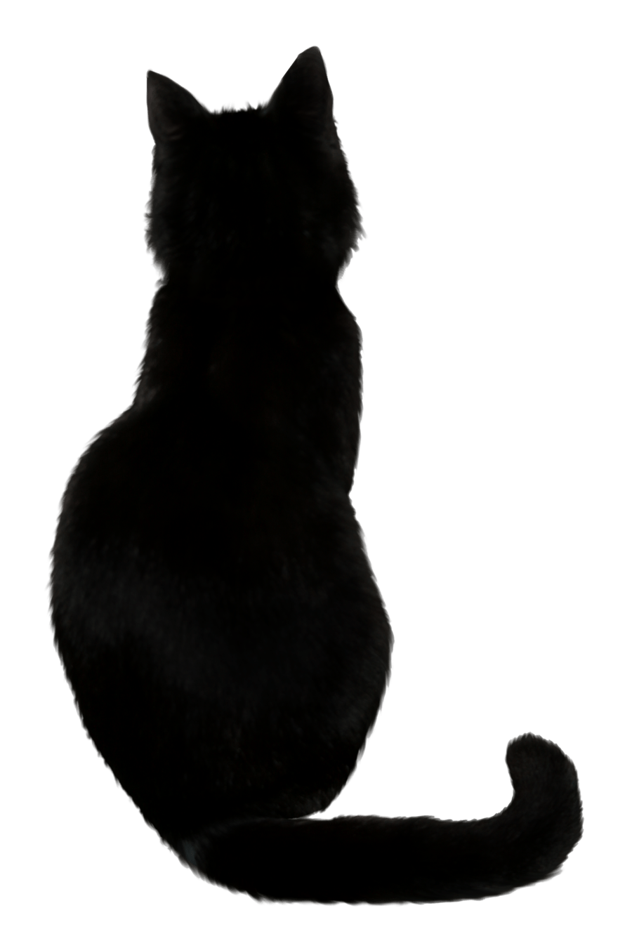 900x1350 Drawn Black Cat tumblr transparent Free Clip Art stock