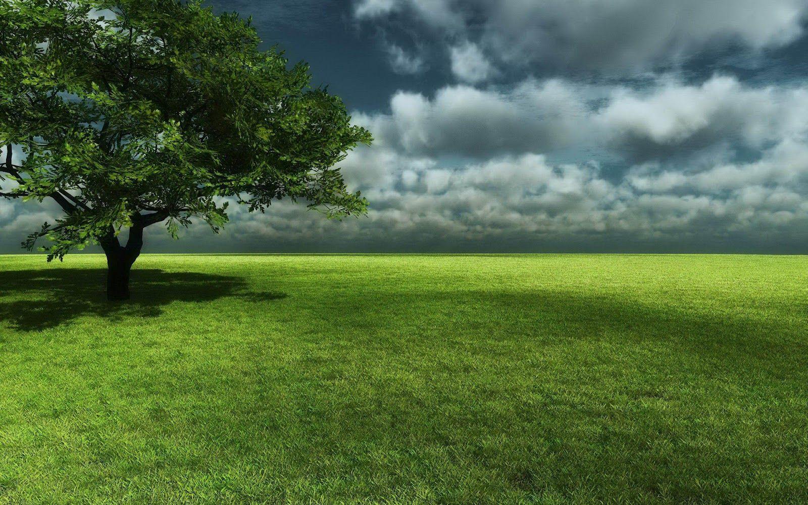 1600x1000 HD Wallpaper: desktop wallpaper HD widescreen