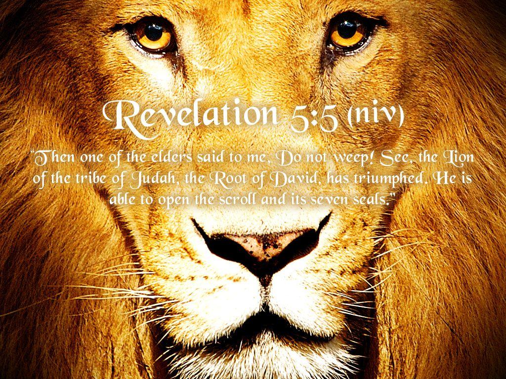 1024x768 Lion Of The Tribe Of Judah As A Lion Wallpaper & Background Download