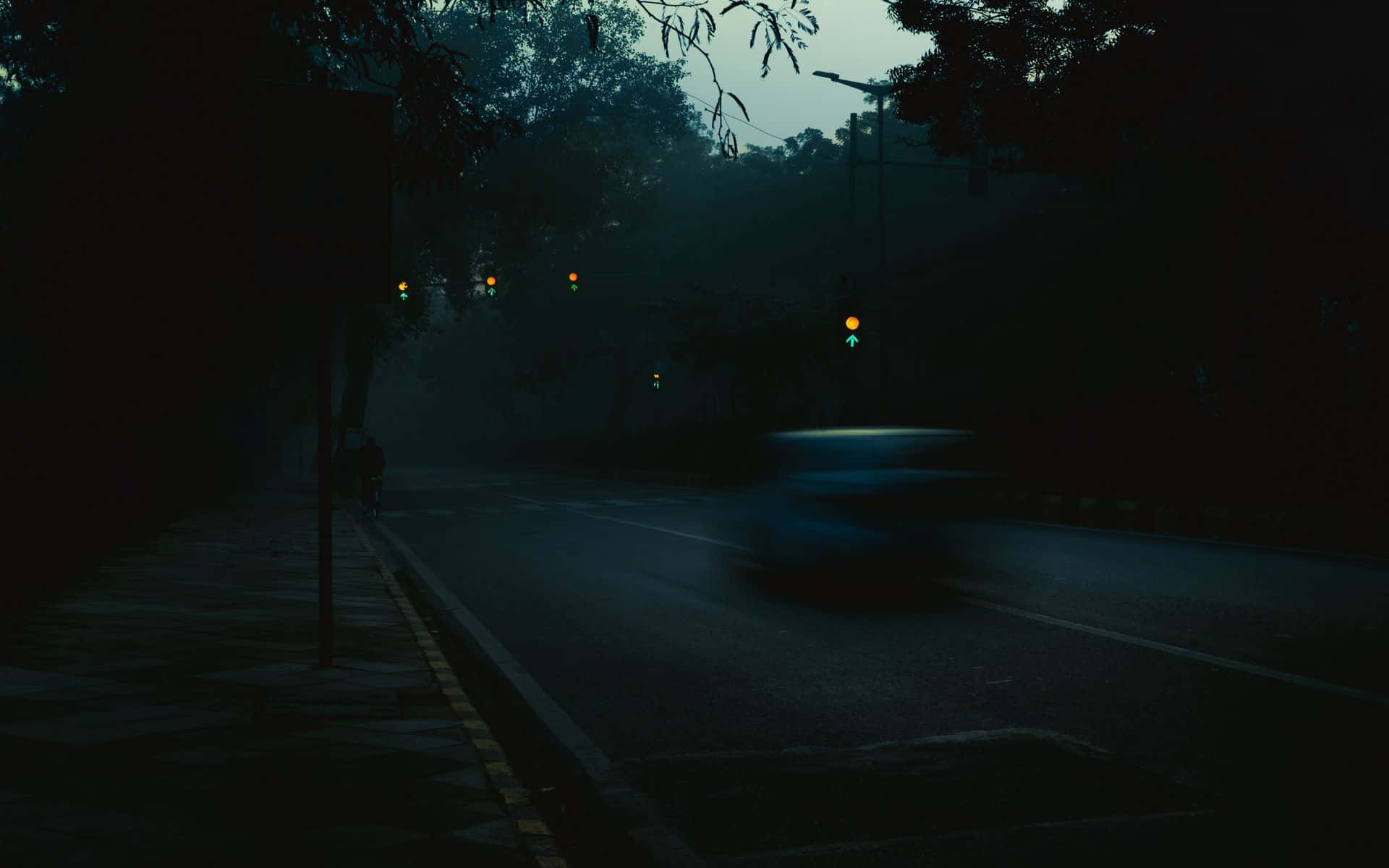 1920x1200 Download Somber Night In A Forest Wallpaper