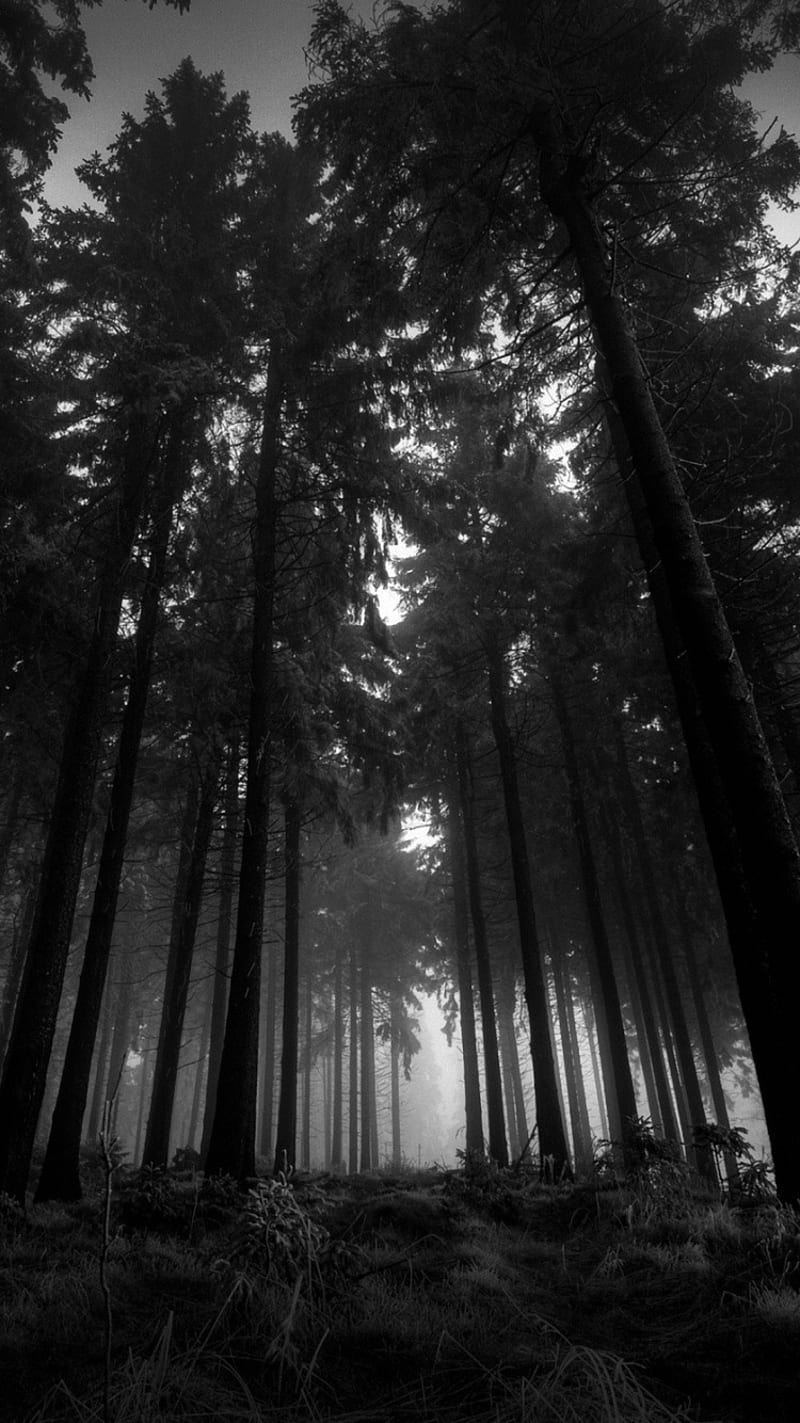 800x1423 Sad, dark, HD phone wallpaper