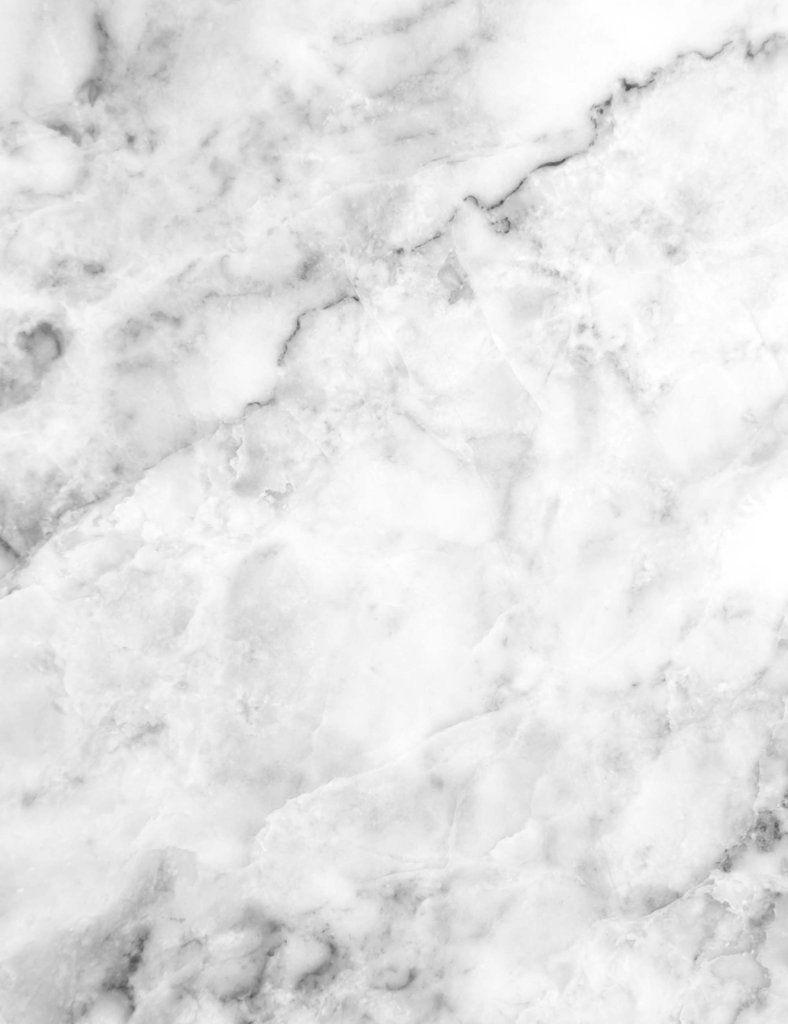 788x1024 Snow White Marble Floor With Black Line Texture Old Master
