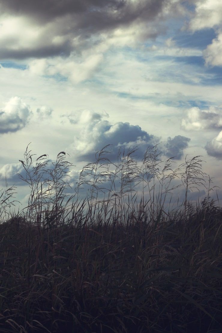 740x1110 Sad wallpaper Image