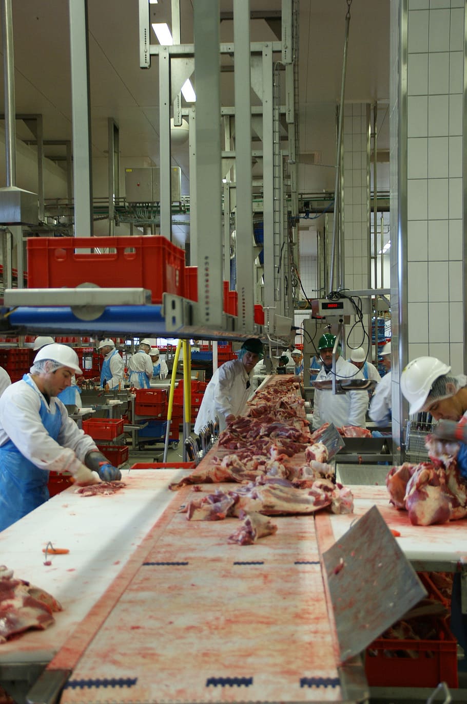 910x1370 Slaughterhouse 1080P, 2K, 4K, 5K HD wallpaper free download