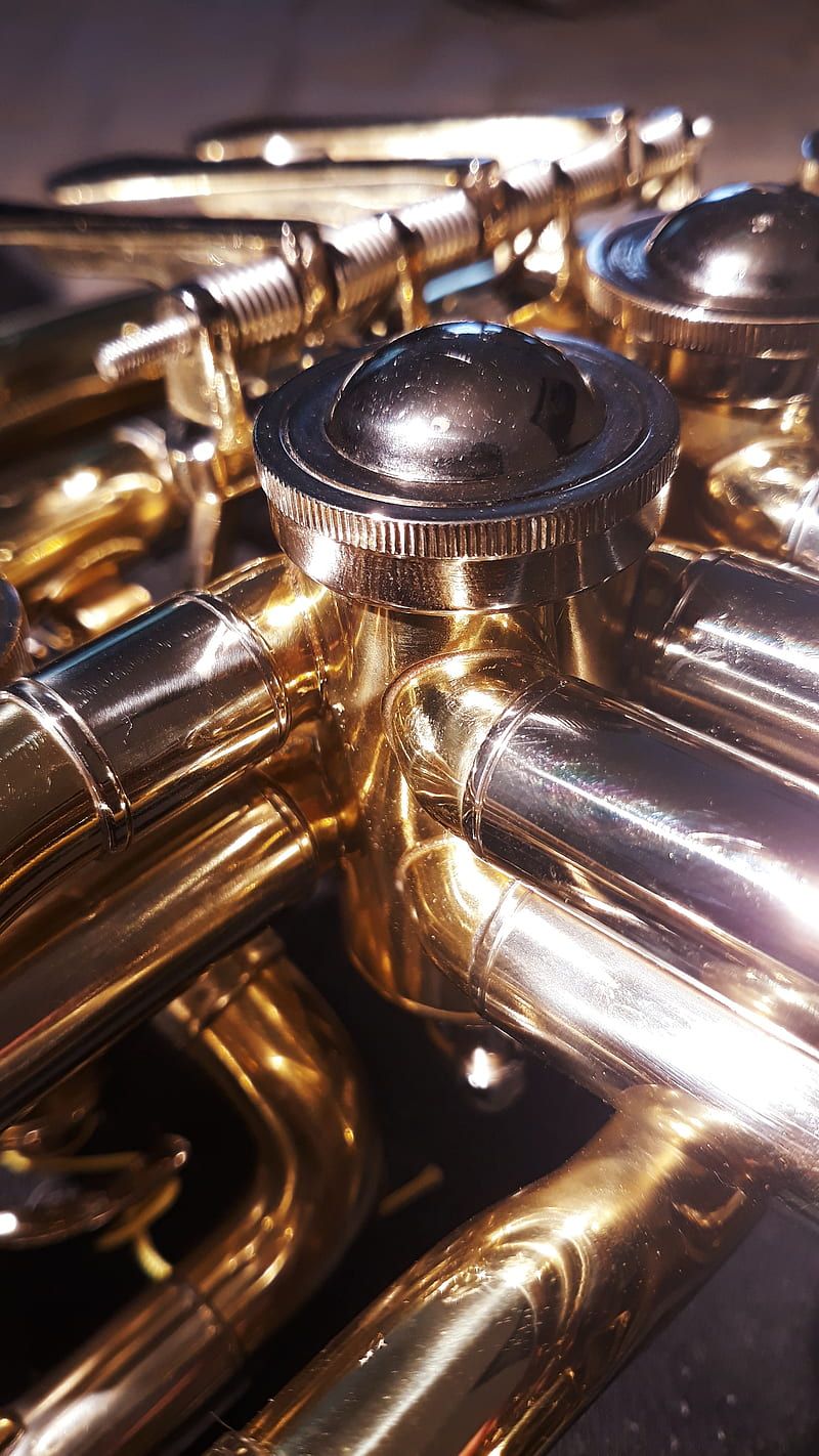 800x1422 French Horn, instrument, band, music, trumpet, flute, tuba, trombone, clarinet, HD phone wallpaper