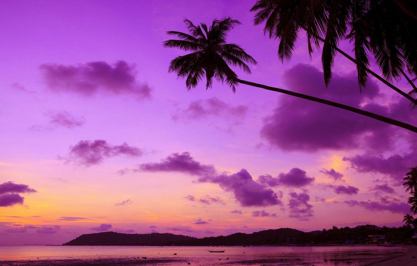 1332x850 Wallpaper sea, beach, sunset, tropics, palm trees, shore, beach