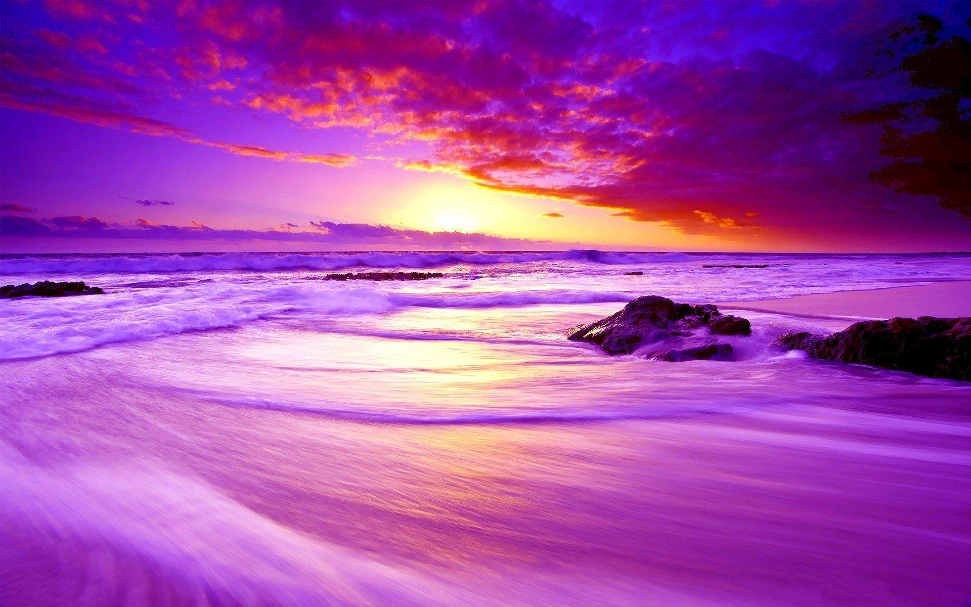 Beach Sunset Purple Wallpapers Top Free Beach Sunset Purple