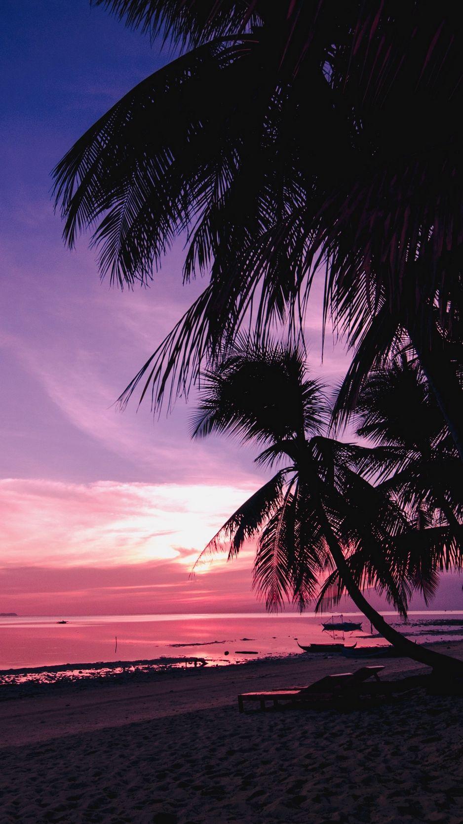 938x1668 Wallpaper Palm Trees, Beach, Sunset, Tropics, Branches
