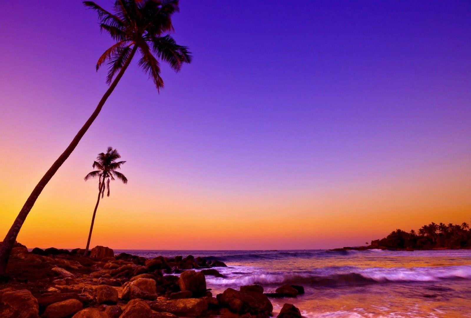 Beach Sunset Purple Wallpapers - Top Free Beach Sunset Purple ...