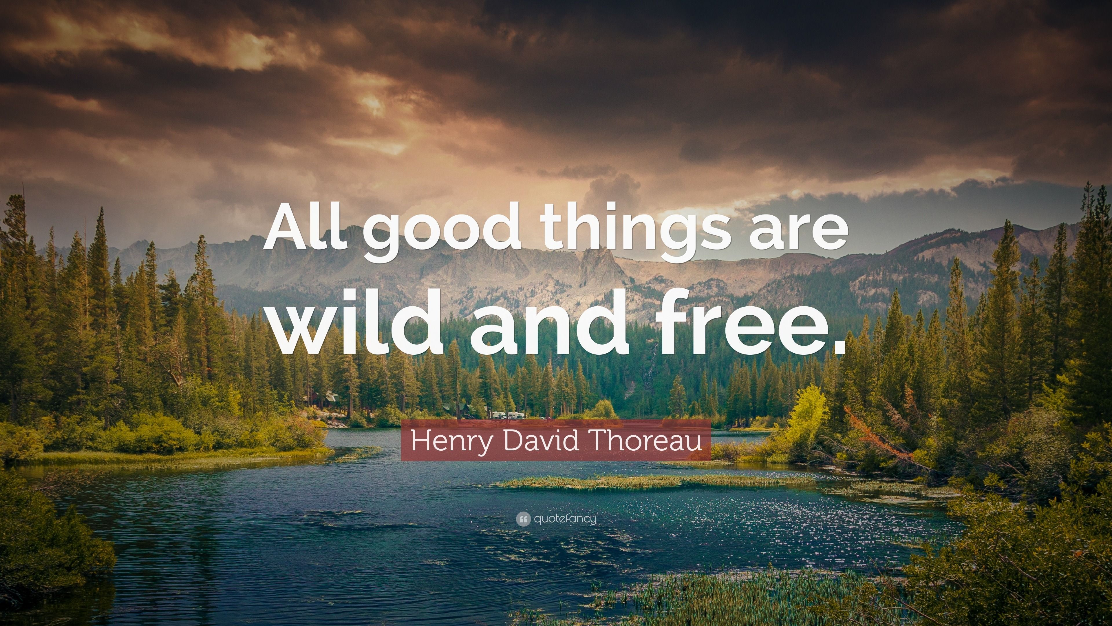 3840x2160 Nature Quotes (2025 Update)