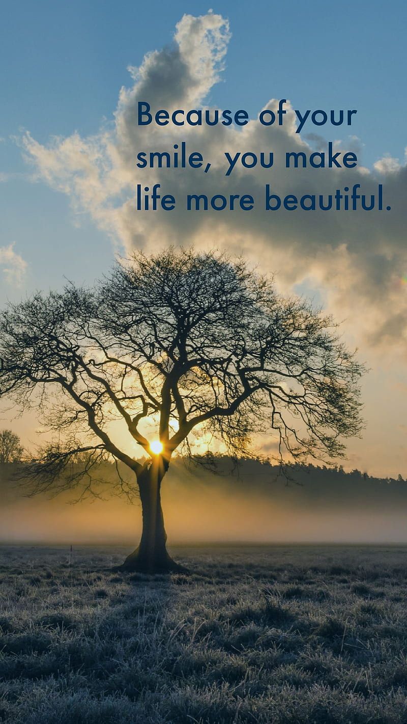 800x1422 Beautiful quote, nature, HD phone wallpaper