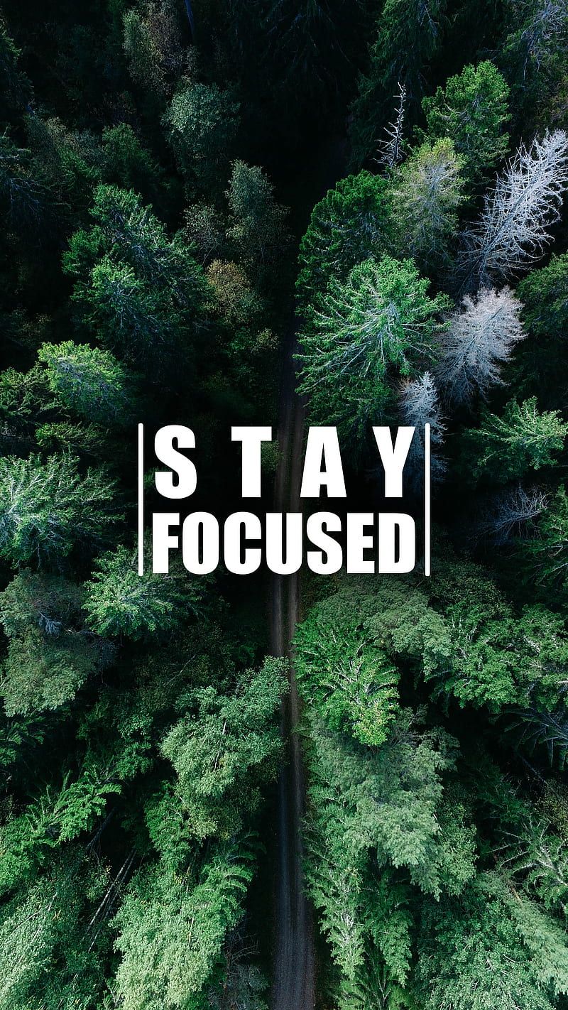 800x1422 Stay Focused aerial, forest, green, mountains, nature, quotes, sayings, trees, HD phone wallpaper