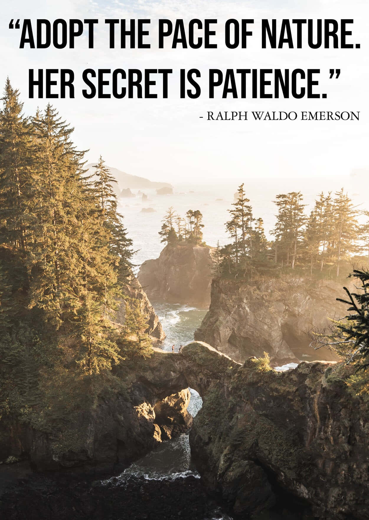1250x1761 Nature Quotes Wallpaper