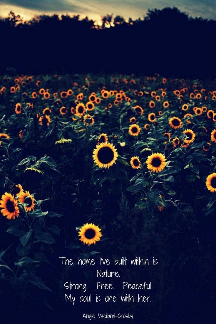 735x1102 Download Sunflower Field Quote Nature Wallpaper