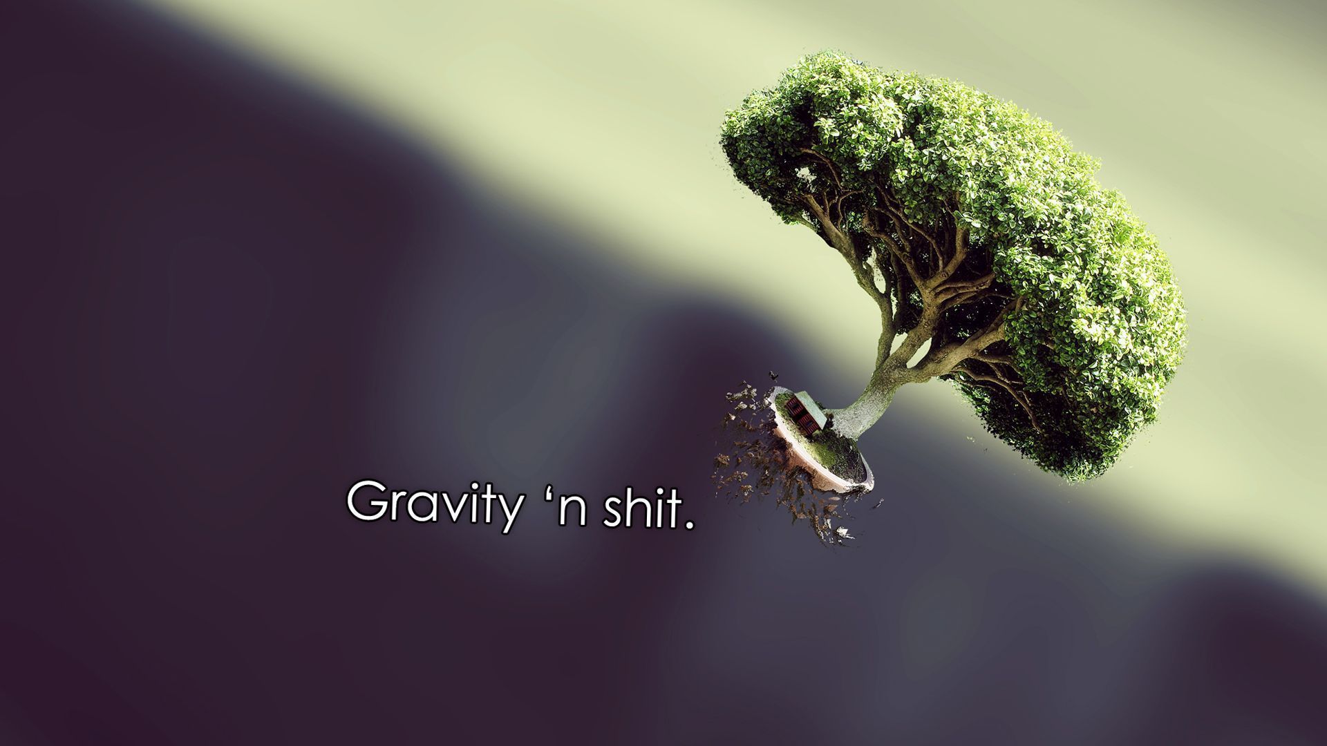 1920x1080 Nature Quotes Gravity Wallpaper HD / Desktop and Mobile Background