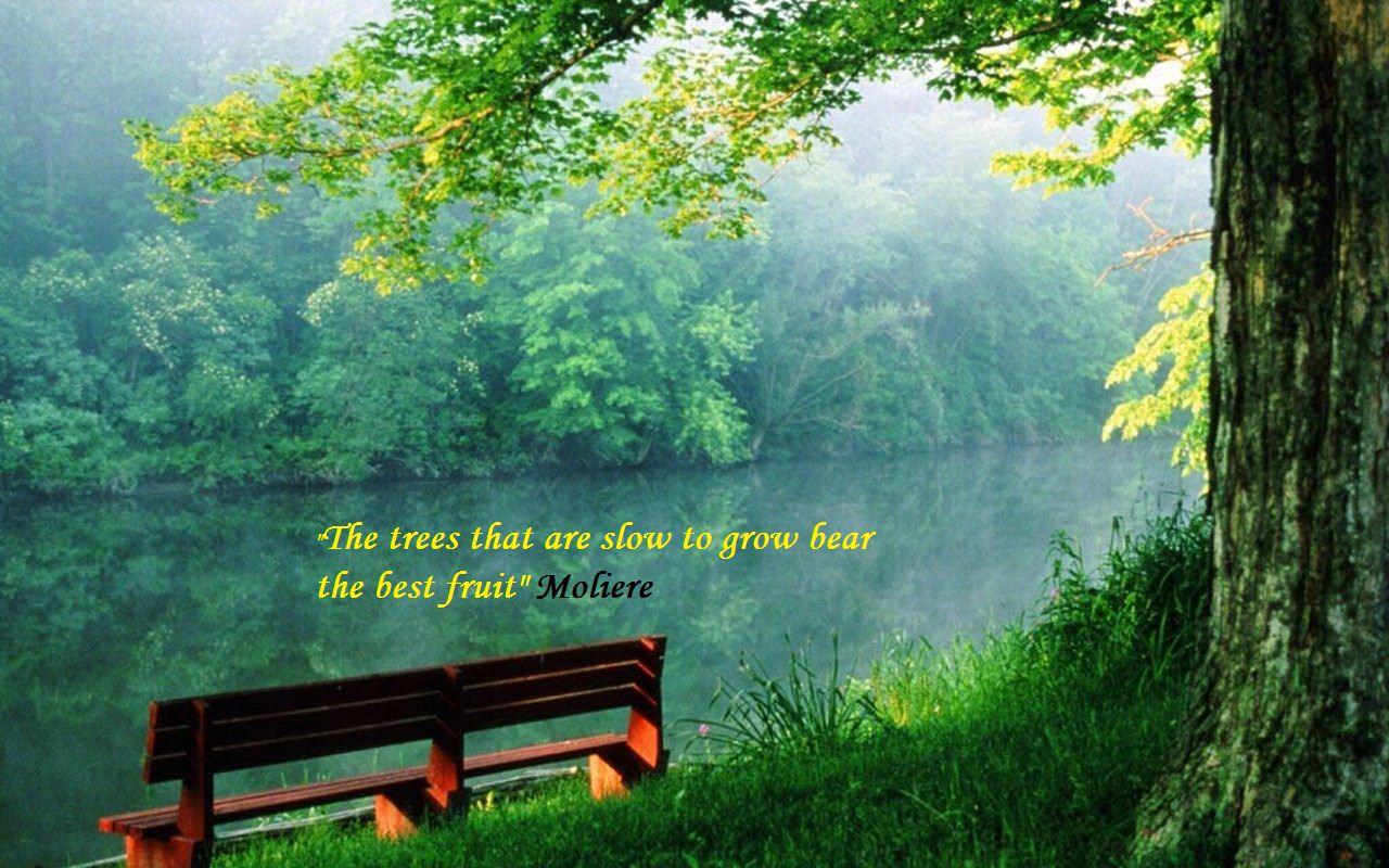 1280x800 Beautiful Nature Wallpaper With Quotes