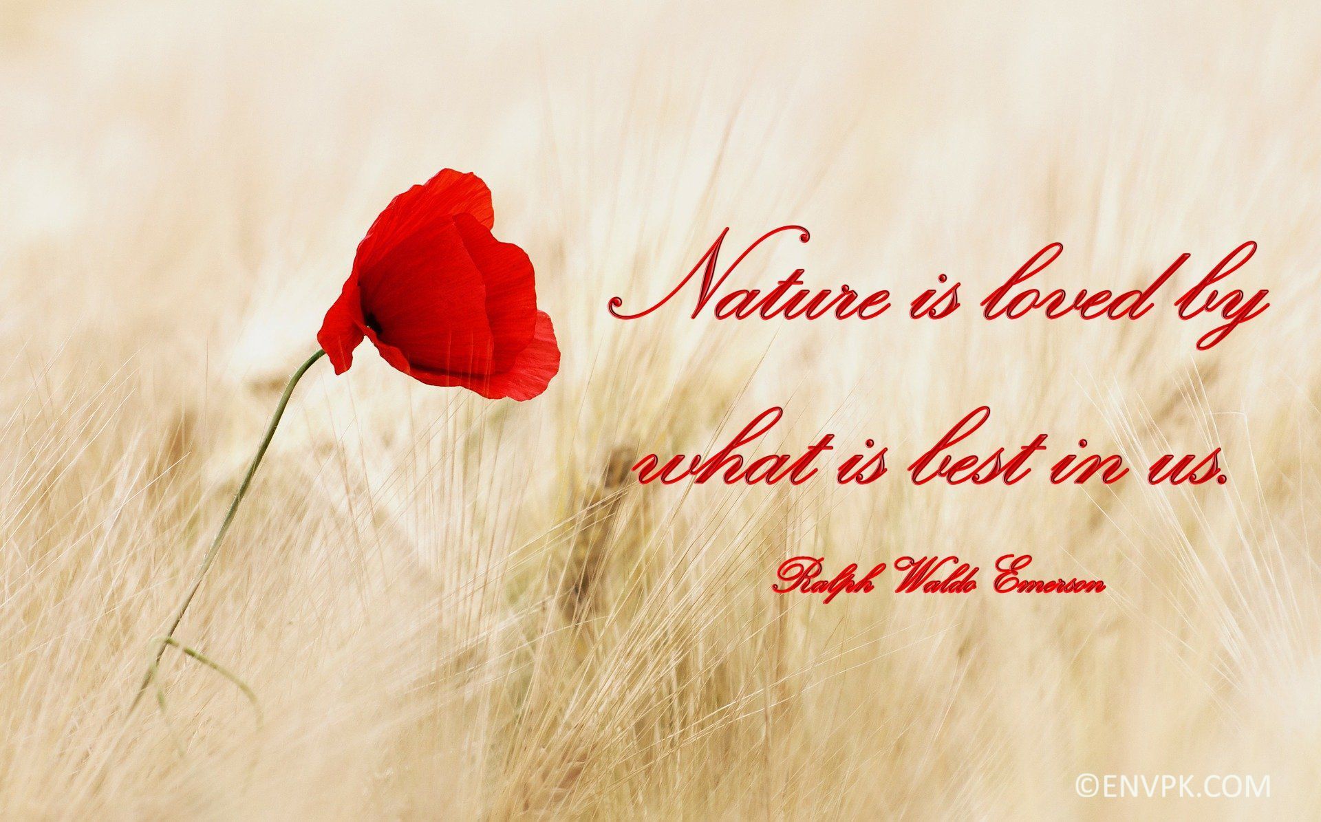 1920x1195 Beautiful Nature Quotes Wallpaper Picture
