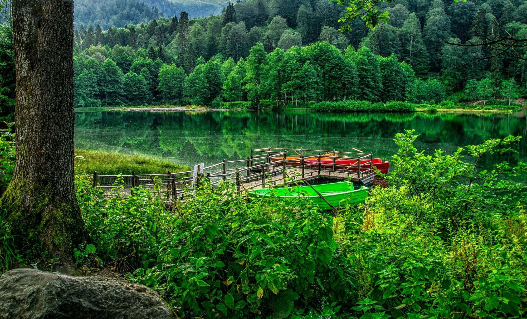 2000x1214 karagol, Artvin, Turkey, Landscape, Nature, Beauty, Amazing, Lake, Forest, Sky Wallpaper HD / Desktop and Mobile Background