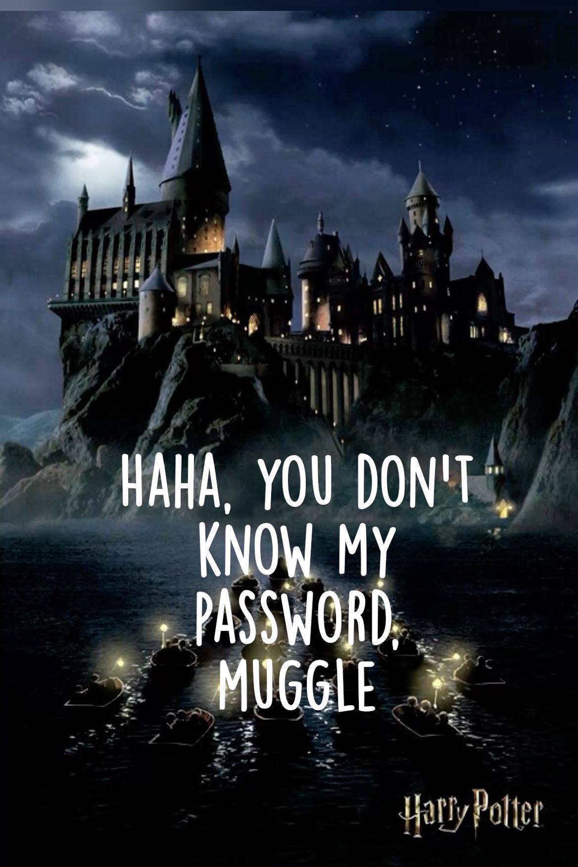 1168x1752 Dont Touch My Laptop Muggle