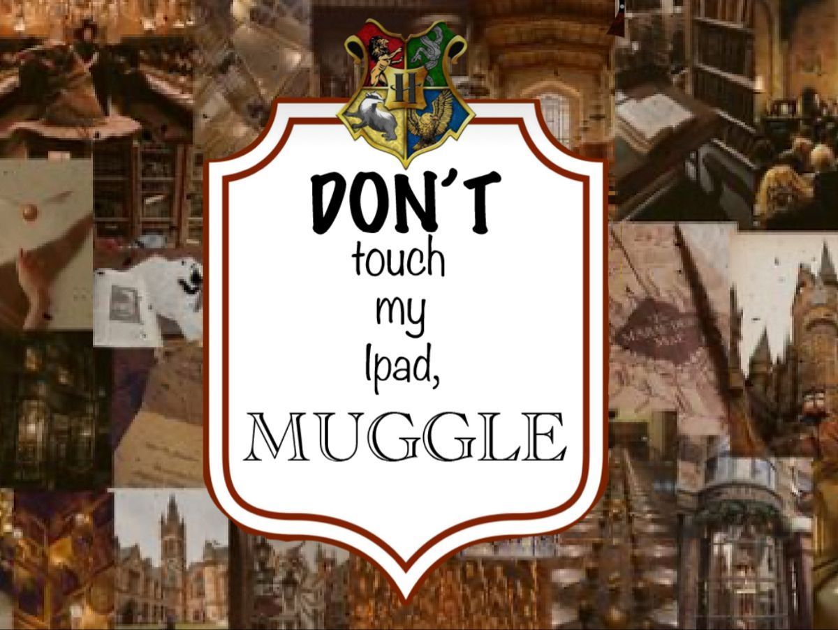 1200x903 Don't touch my iPad, Muggle