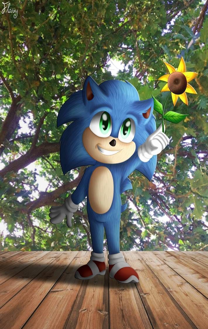 711x1124 Baby Sonic