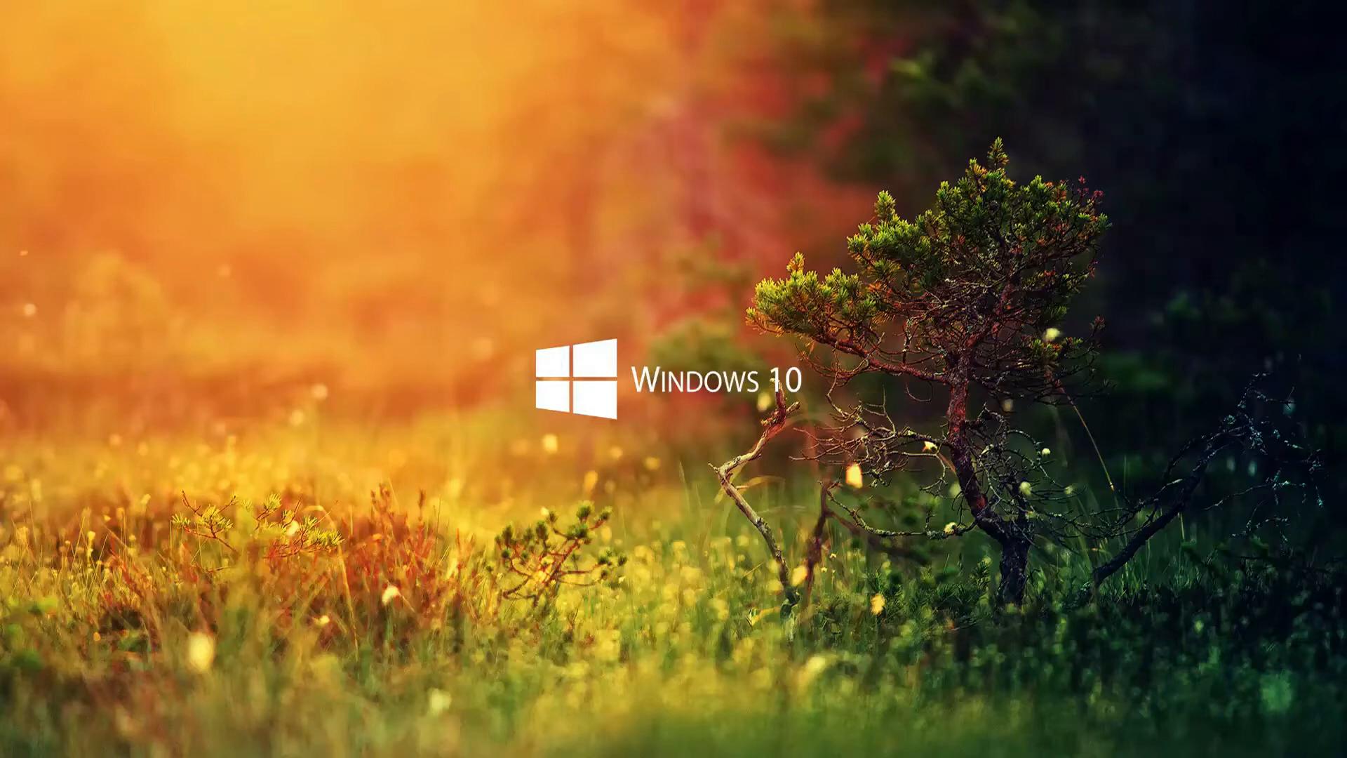 1920x1080 Windows 10 Nature Live Wallpaper