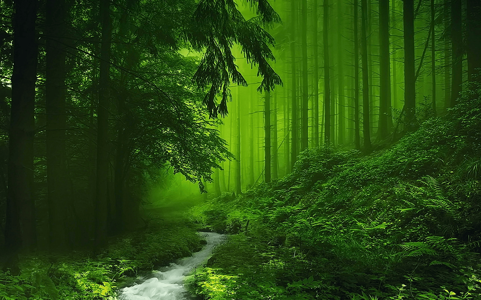 1920x1200 Hd Wallpaper 10 Wallpaper 4k Nature Wallpaper & Background Download