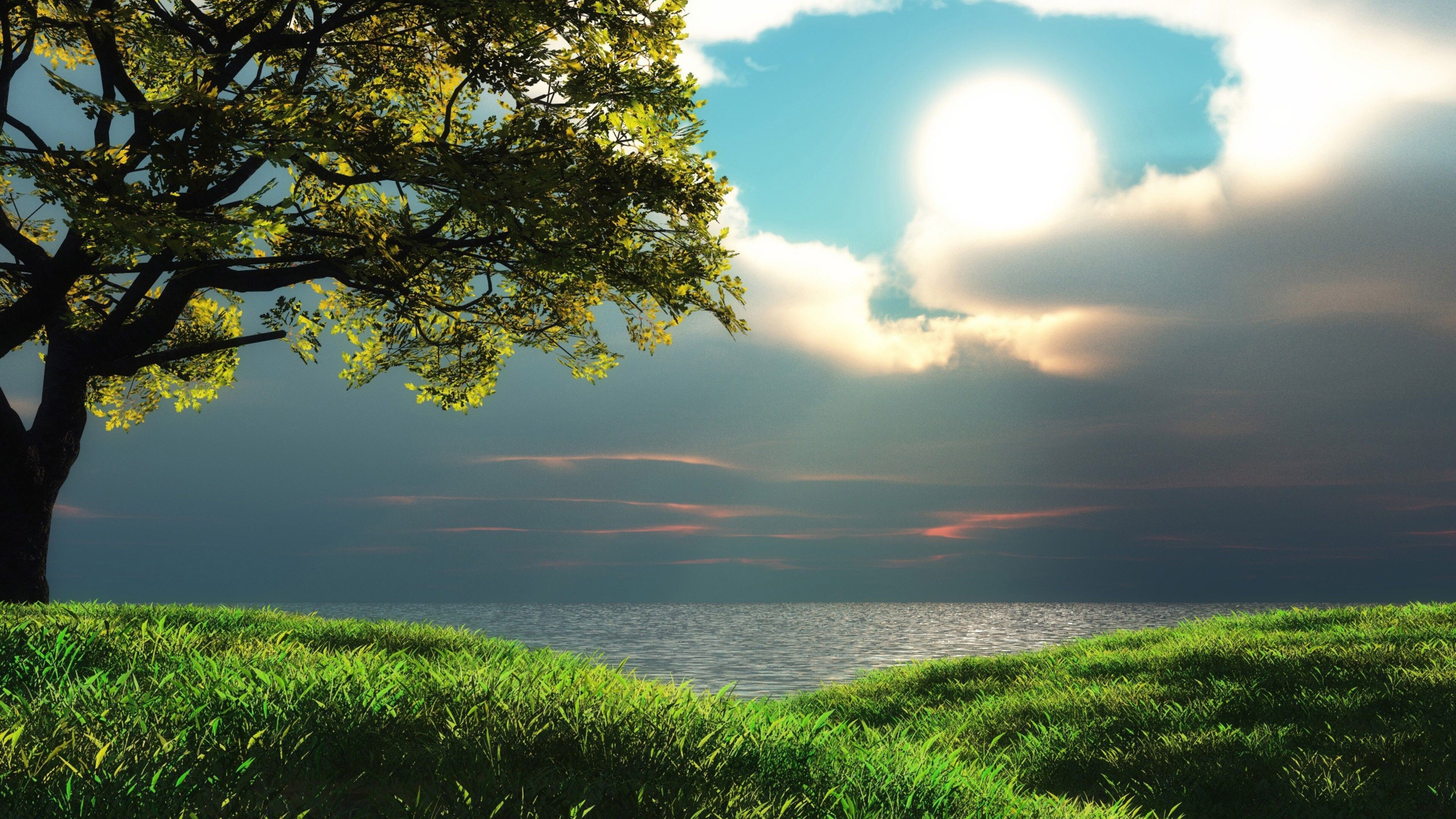 3840x2160 Seascape Sunset Over Body Of Water With Green Grass And Tree 4K HD Nature Wallpaper