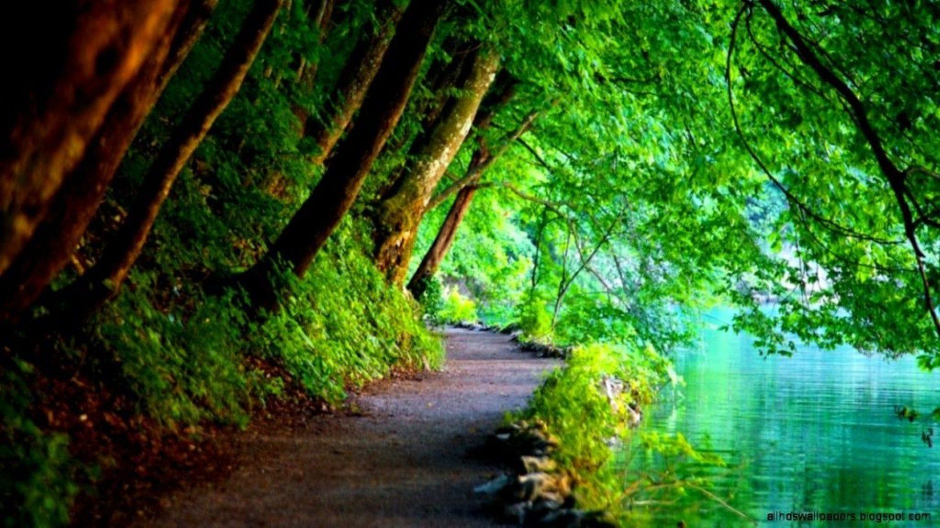1920x1080 HD Wallpaper Nature size [1920 x 1080]