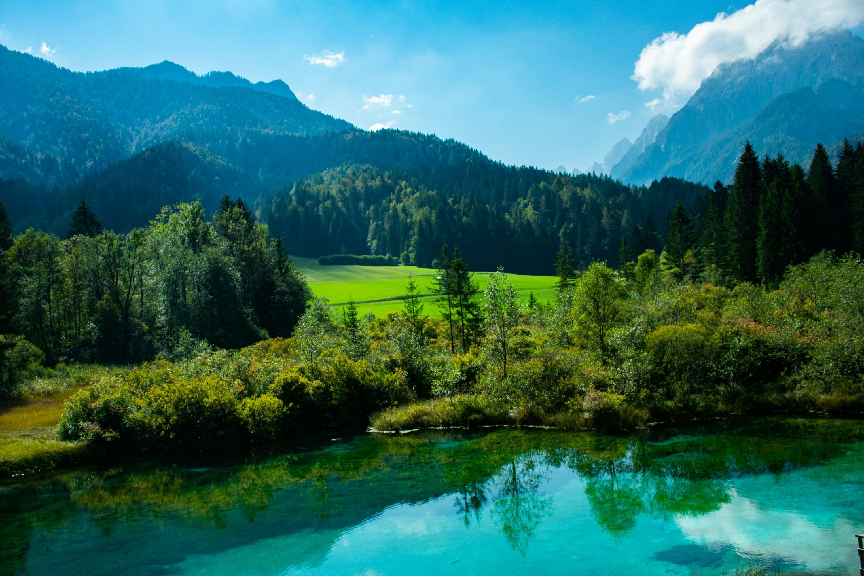 3000x2000 Green Nature Picture. Download Free Image