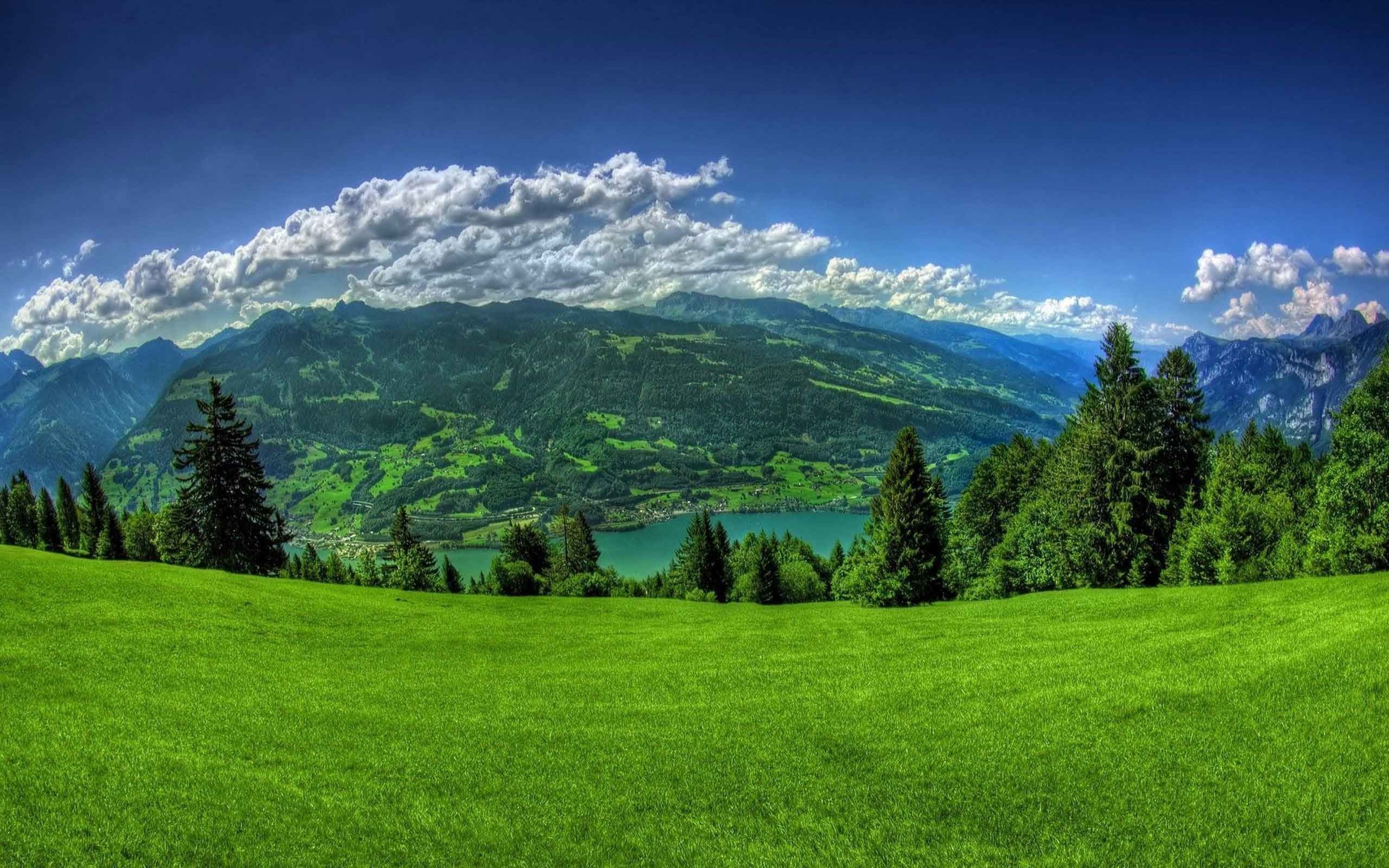 2560x1600 Windows Landscape Wallpaper