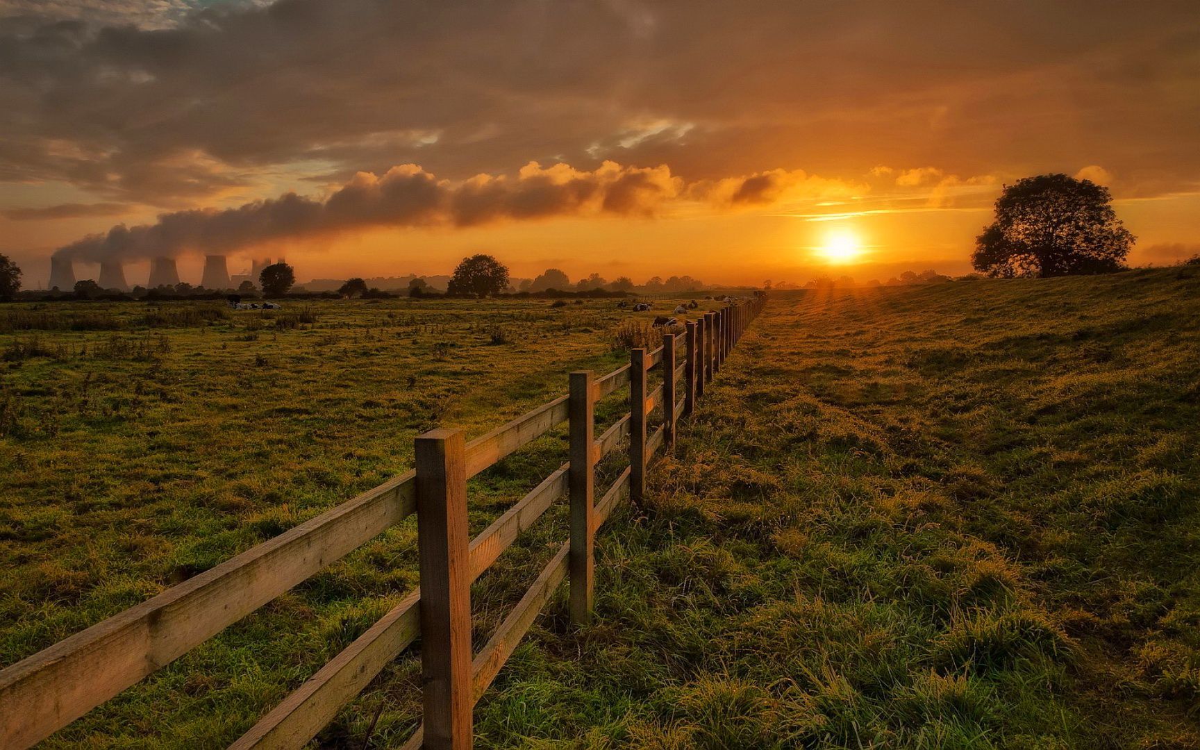 1728x1080 Windows 10 Nature Wallpaper