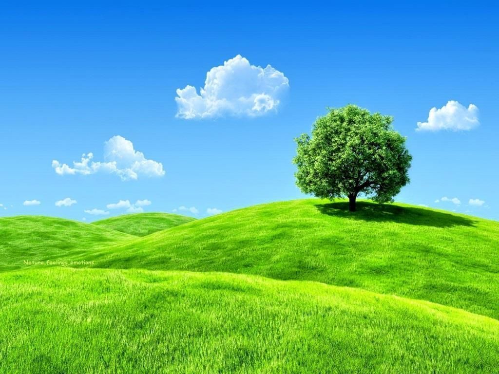 1024x768 Landscape wallpaper ideas. landscape wallpaper, beautiful nature, beautiful nature wallpaper