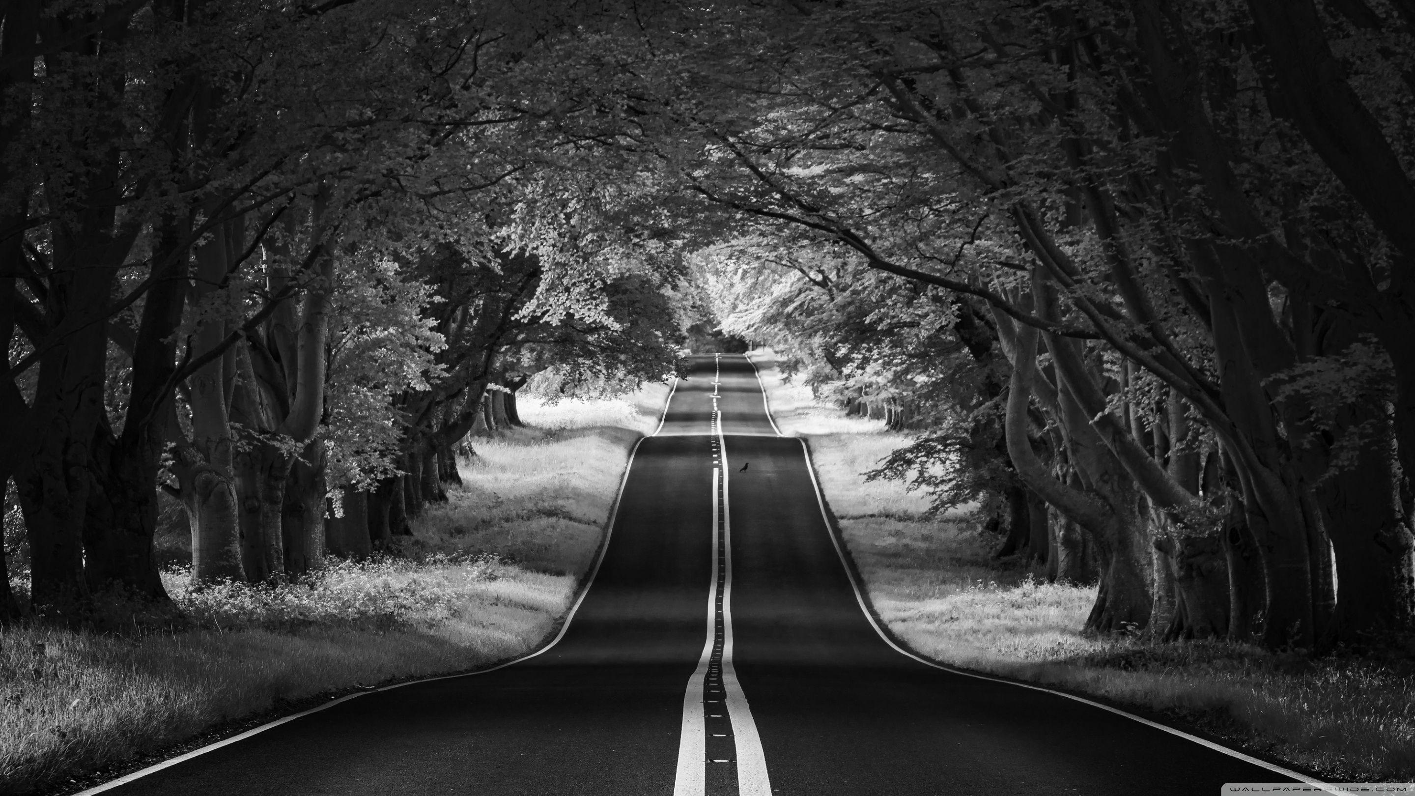 2880x1620 Road Landscape, Aesthetic, Black and White Ultra HD Desktop