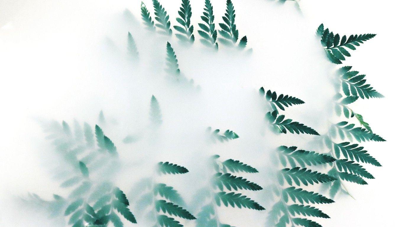 1336x768 Green Leaf Plants Fog 4k Laptop HD HD 4k Wallpaper