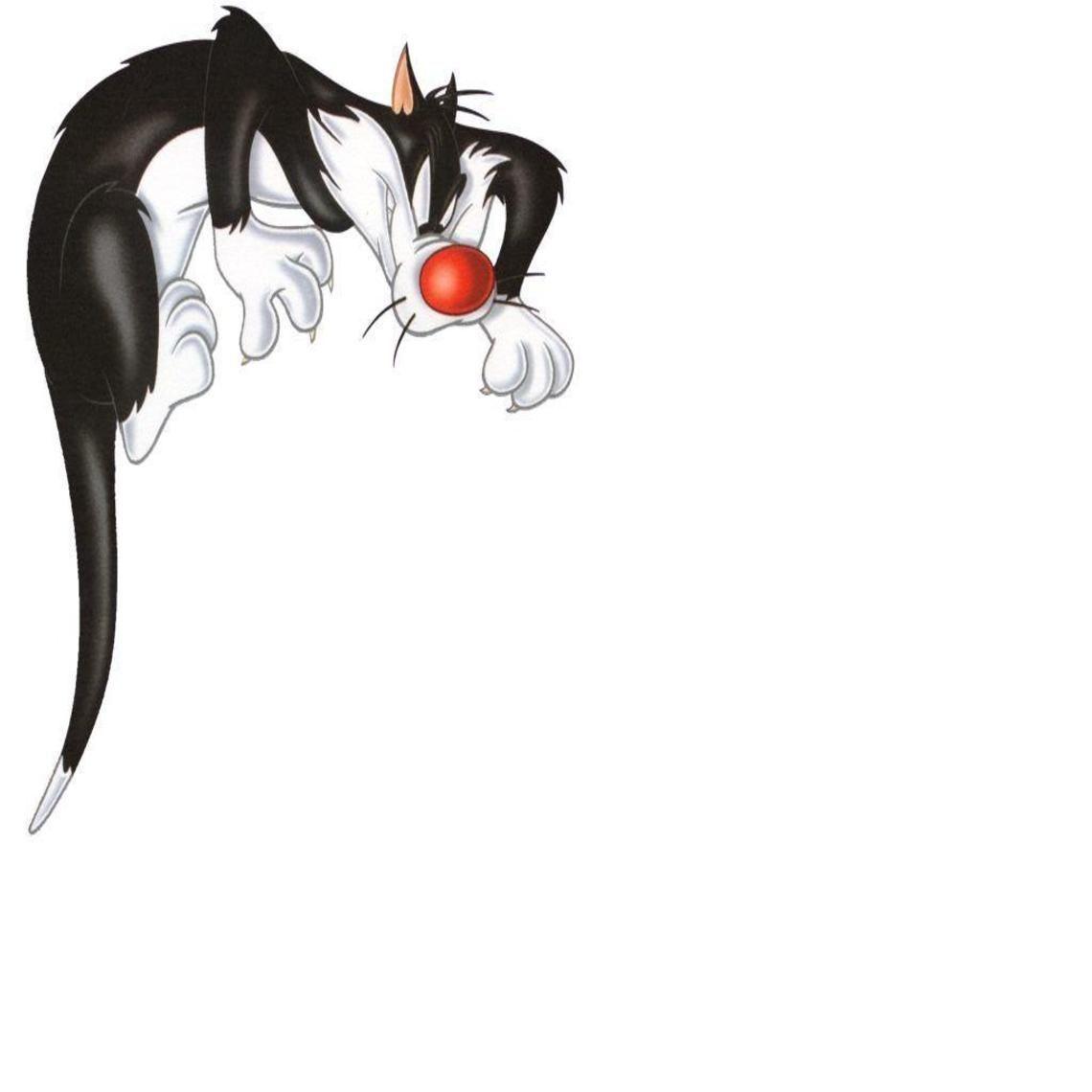 1140x1140 sylvester the cat. Looney tunes wallpaper, Cartoon wallpaper hd, Looney tunes cartoons