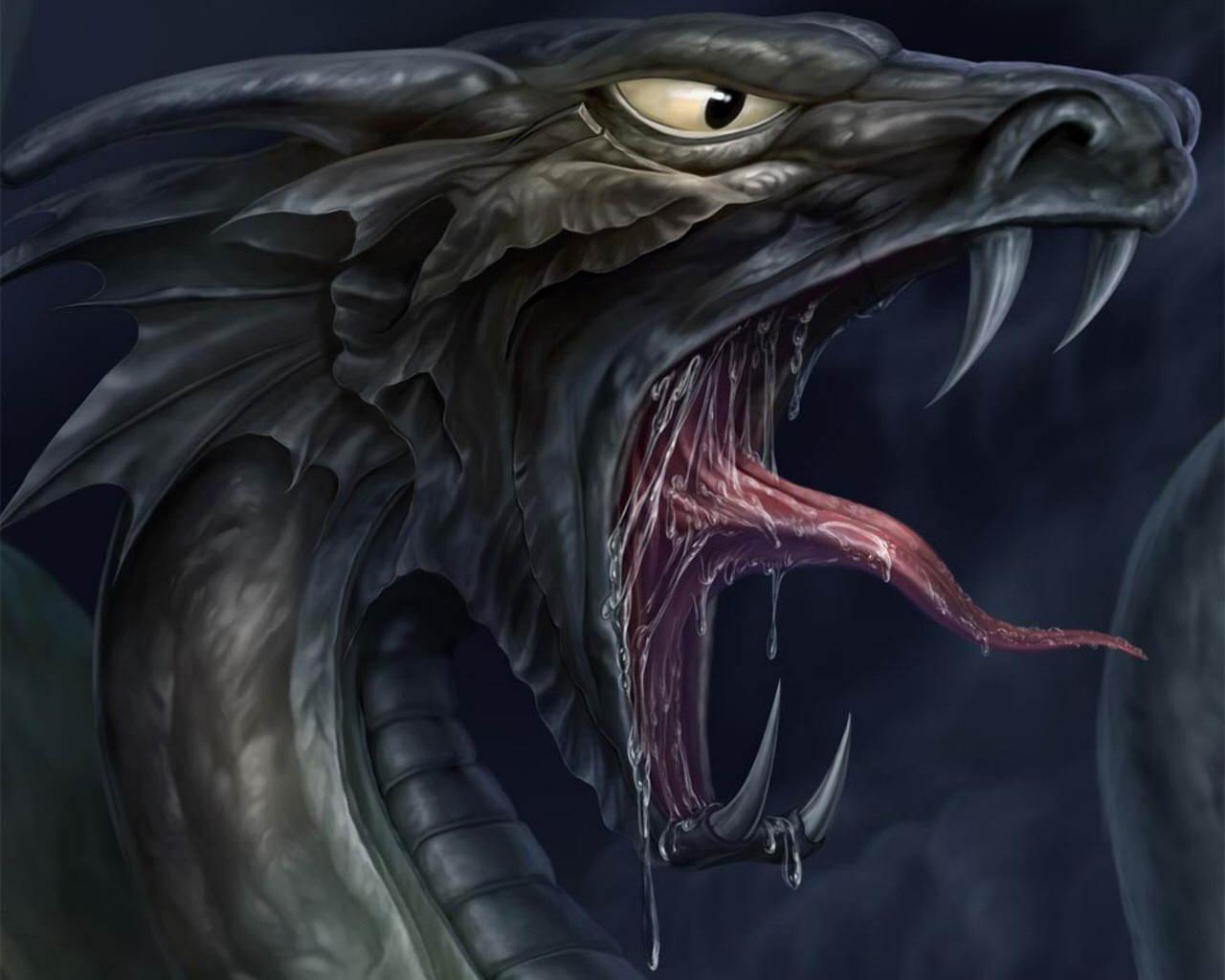 Gothic Dragon Wallpapers - Top Free Gothic Dragon Backgrounds ...