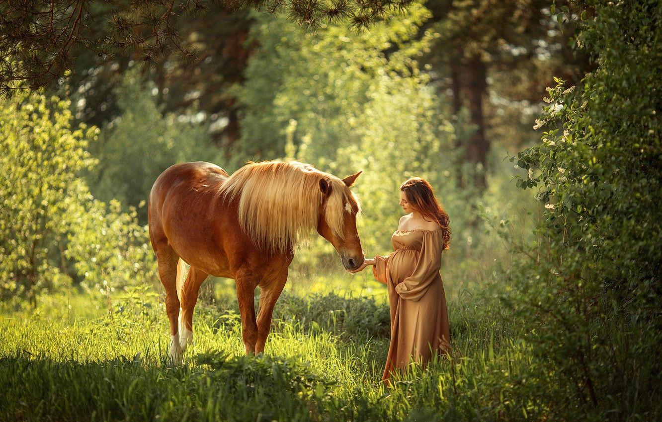 1332x850 Wallpaper forest, summer, light, mood, horse, woman, horse, belly