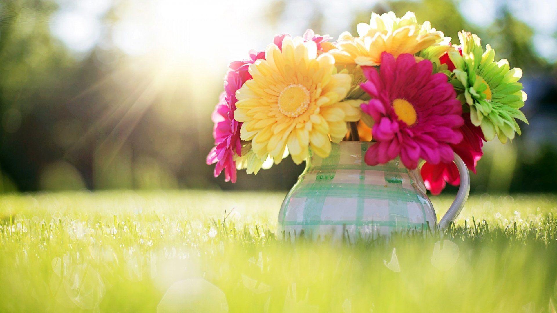 1920x1080 Gerbera Bouquet at HD wallpaper