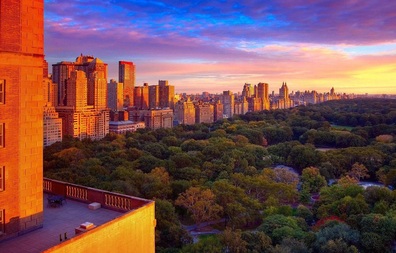 1332x850 Wallpaper Park, New York, Park, New York, Central Park, Central