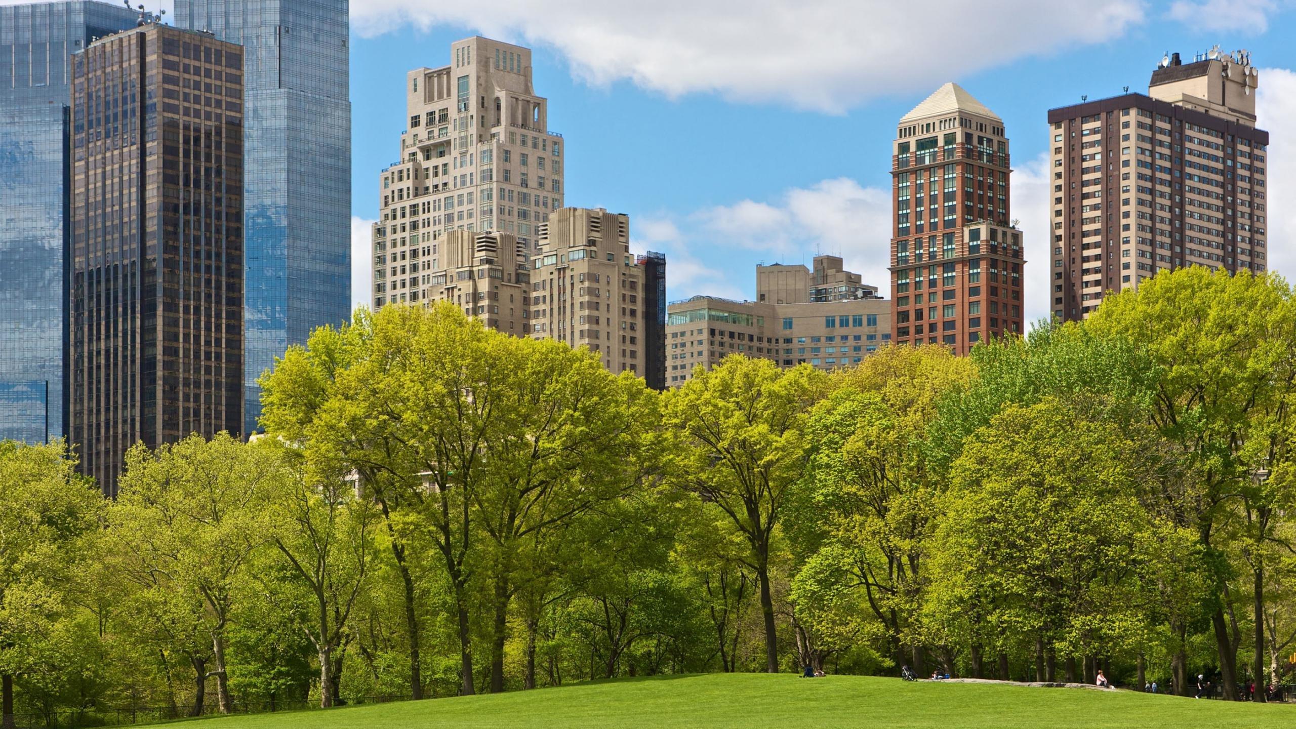 2560x1440 New York Central Park Wallpaper Park, Download