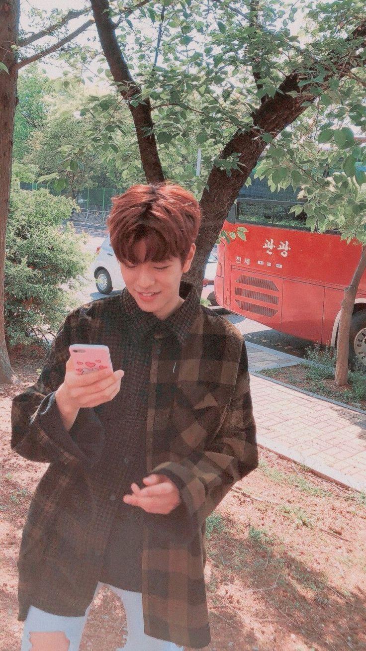 736x1309 stray_kids