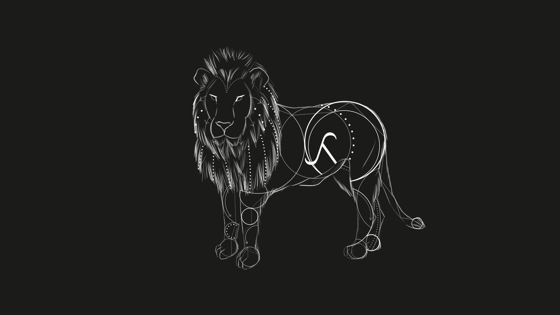 1920x1080 Lion Black and White Wallpaper